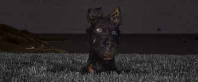 To this day, I have no idea. - Isle of Dogs