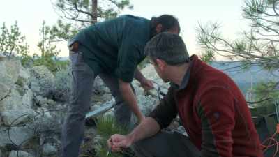 To detect details that haven't
Been seen in centuries. - Secrets of the Underground