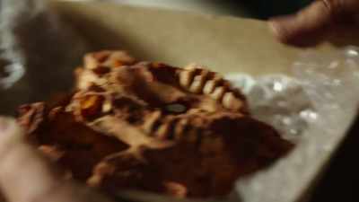 To discover why some species
grow to such large sizes, - Modern Dinosaurs