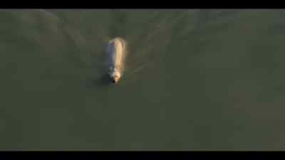To disguise himself here, - Our Oceans