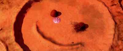 To distill so specific a form - Watchmen: Chapter II