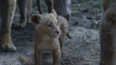 To ensure - The Lion King