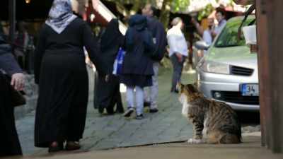 To express your femininity,
to be defiant with your femininity. - Kedi