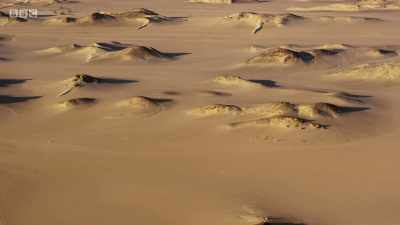 To find enough to eat, - Planet Earth: A Celebration