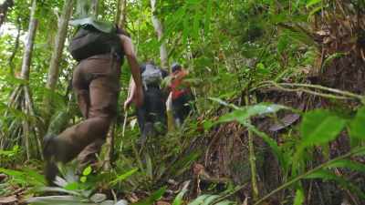 TO FIND OUT IF THESE PAINTINGS - Lost Cities of the Amazon