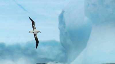 To find out where
all this rubbish is coming from, - Blue Planet II