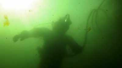 To find out, - Sewer Divers