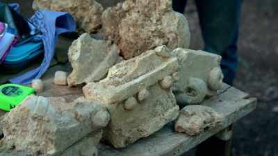 To find such a grand
building here is stunning. - Lost Treasures of the Maya