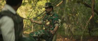 To gather Tendu leaves - Newton