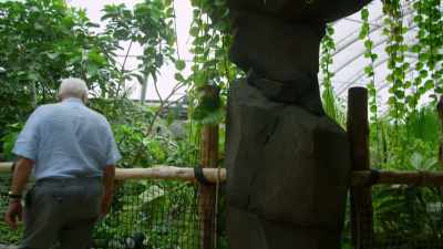 To get a clue I've come to see
a modern day predator in action. - Attenborough and the Sea Dragon
