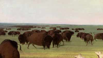 To get close enough with
a bow and arrow or a lance, - The American Buffalo