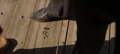 ♪ To get this weight
    off my skin ♪ - Walker Independence