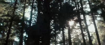 To go it alone or to go with a partner - Safety Not Guaranteed