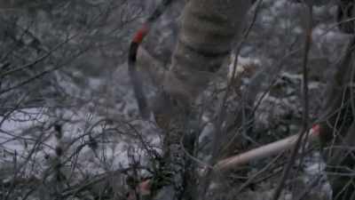 To, to have a thought, and
to put it down on paper, - Life Below Zero: Next Generation