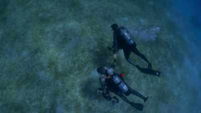 To have this dive partner
who loves to be underwater - Photographer