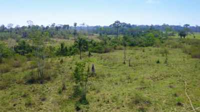 ...TO HELP HIM
GET SAFELY THROUGH THE DENSE - Lost Cities of the Amazon