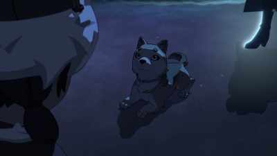 To help you,
I created an illusion. - The Dragon Prince