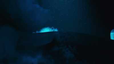 To hide its capture from the rest, - Blue Planet II