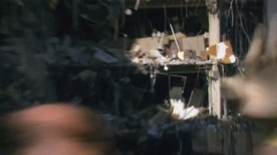 To my left,
you could look up - FBI TRUE