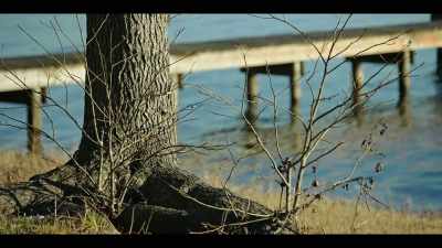 To... live this life - I Am a Stalker