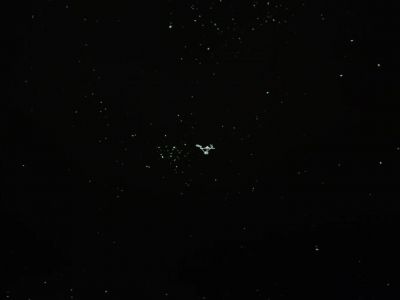 To love you. - Star Trek