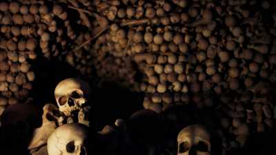 To make burial room for the
millions who perished, - This Giant Beast That is the Global Economy