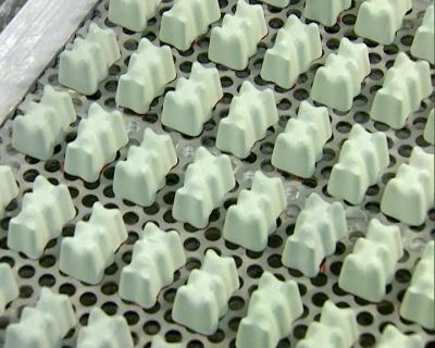 TO MAKE GUMMY CANDIES, - How It's Made