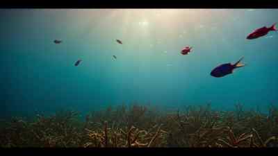 To make matters worse,
this cooker is ready to blow. - Our Oceans