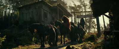 To make sure you do. - War for the Planet of the Apes