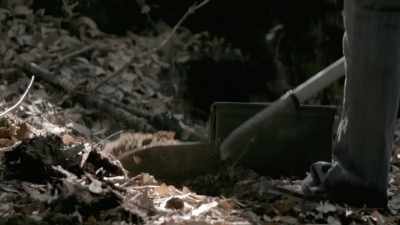 To make them heroes or villains, for me, - Murder Mountain