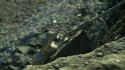 to-make-them-lighter - Attenborough and the Sea Dragon