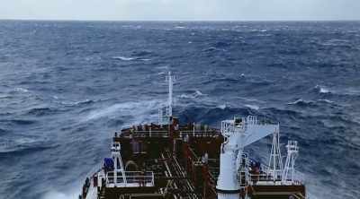 To maximize chances of survival, - Mysteries of the Deep