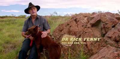 To me, they are - Koko: A Red Dog Story