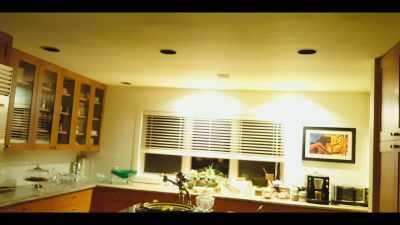 To me, Bailey was saying,
"Yeah, Mom, I'm here." - Surviving Death