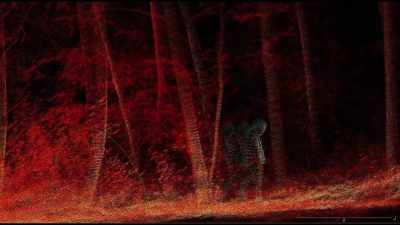  To me, that looks like
 an upright bipedal creature - Expedition Bigfoot
