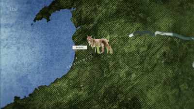 'To meet Tracy and Dean Tweedy, - Britain's Tiger Kings - On the Trail with Ross Kemp