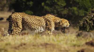 to move closer, and closer, - Super/Natural