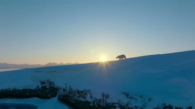 '..to our epic journey
around the sun. - A Year on Planet Earth