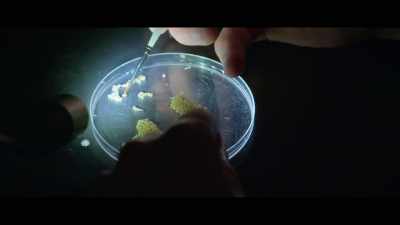 To play God with environment, - Unnatural Selection