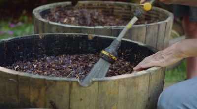 - to this pot here
- [Jamila] Yeah. Okay - Homegrown