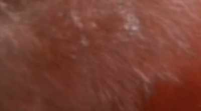 To prove the theory that
simply fighting back, - Shark Attack Files