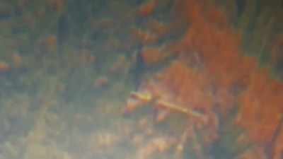  ...to re-examine the data.. - Expedition Bigfoot