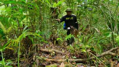 To save them from extinction,
rangers are constantly on patrol, - Our Great National Parks