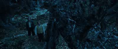 ...to say anything in Old Entish... - The Lord of the Rings: The Two Towers