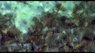 To see a stream return and flow - Kiss the Ground