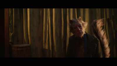 To see Firefrorefiddle come alive tonight - Cats