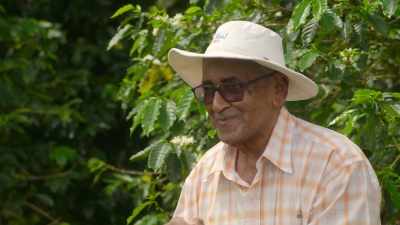 To see your plant producing coffee,
we have to wait for about three years. - The Reluctant Traveler with Eugene Levy