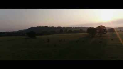 To send
a mare to a stallion - Horsepower