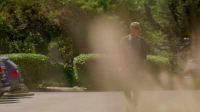 "To Silicon Valley
Tally-ho" - The World According to Jeff Goldblum