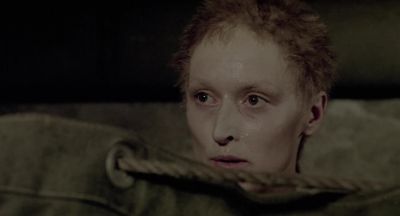 To Stingo - Sophie's Choice
